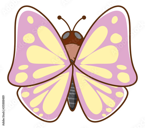 Pink butterfly on white background