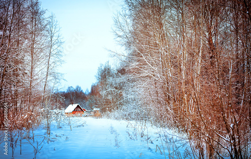 A lonely wooden house in the winter forest 