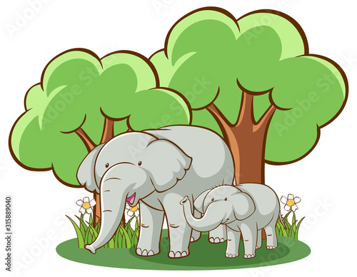 Elephants on white background