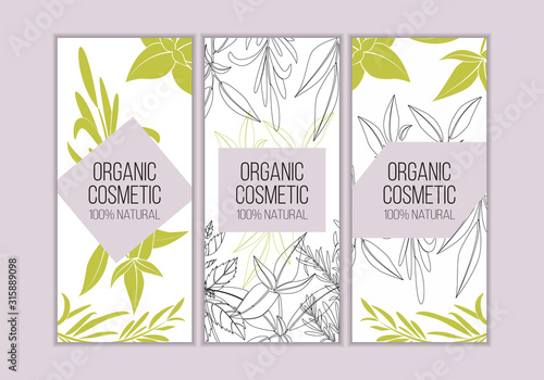 Vector herbal cosmetics card templates. Modern illustration for design and web.