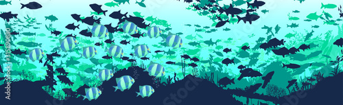 fish and algae on the background of reefs. Underwater ocean scene. Deep blue water  coral reef and underwater plants. a beautiful underwater scene  a vector seascape with reef.