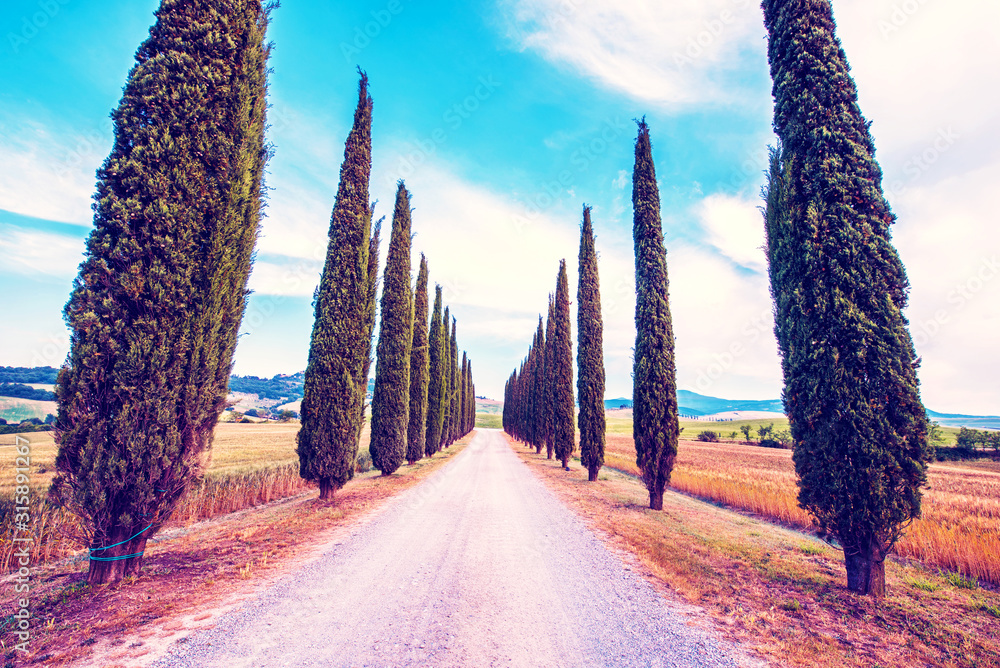 Magic beautiful landscape with road and cypress in Tuscany, Italy in San Quirico d'Orcia (Val d'Orcia). Excellent tourist places.