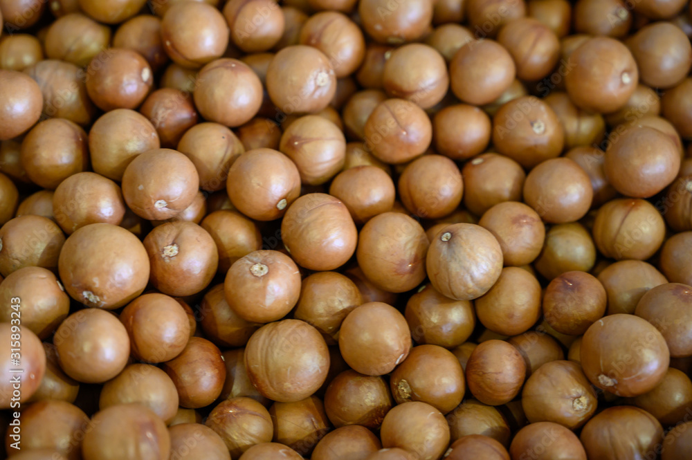 Many fresh ripe macamadia nuts in brown shell, food background Many fresh ripe macamadia nuts in brown shell, food background