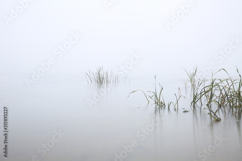 riverbank in the morning in the fog