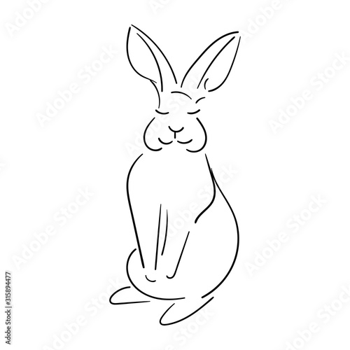 Line rabbit black outline isolated on white background, cute rabbit vector © Anzhelika Kononec