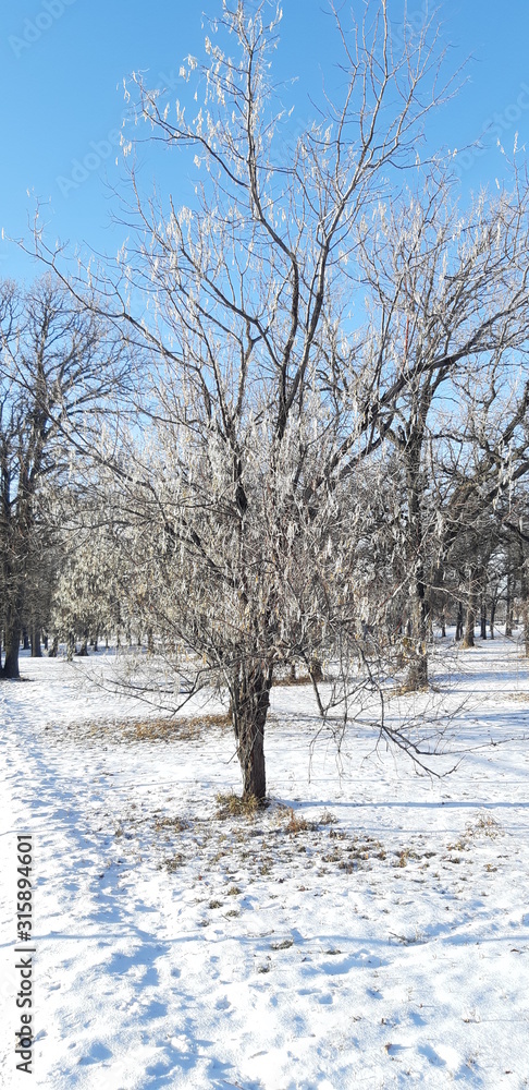 Winter Winter