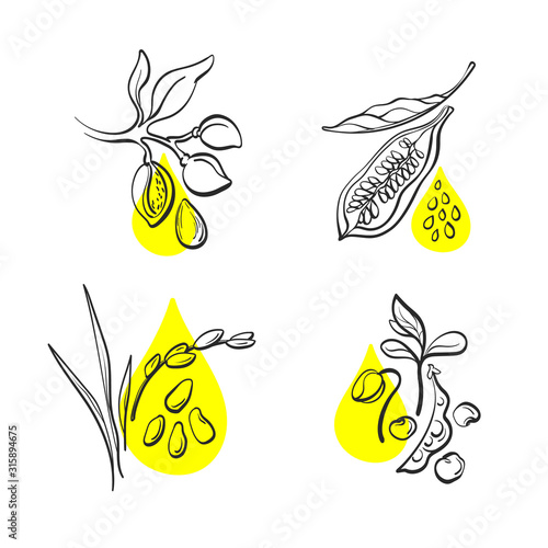 Organic oil. Vector set. Hand drawn sign