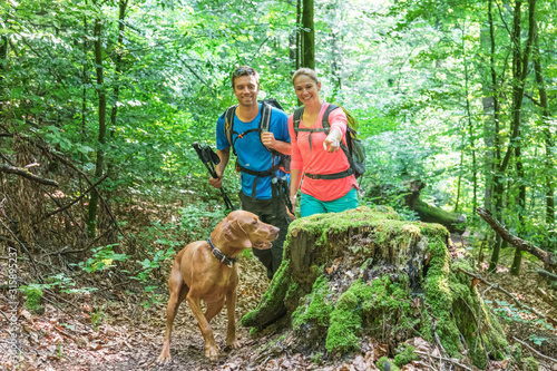 Wandern in frühlingshaften Wald  photo