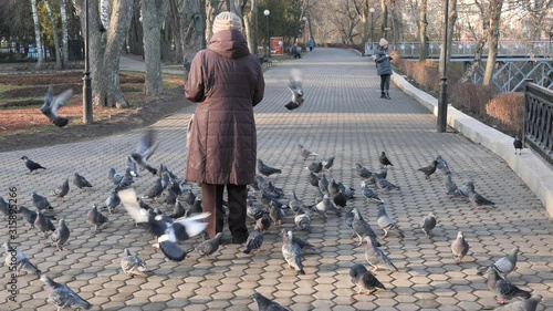 man feeds birds pigeons and tits with hands