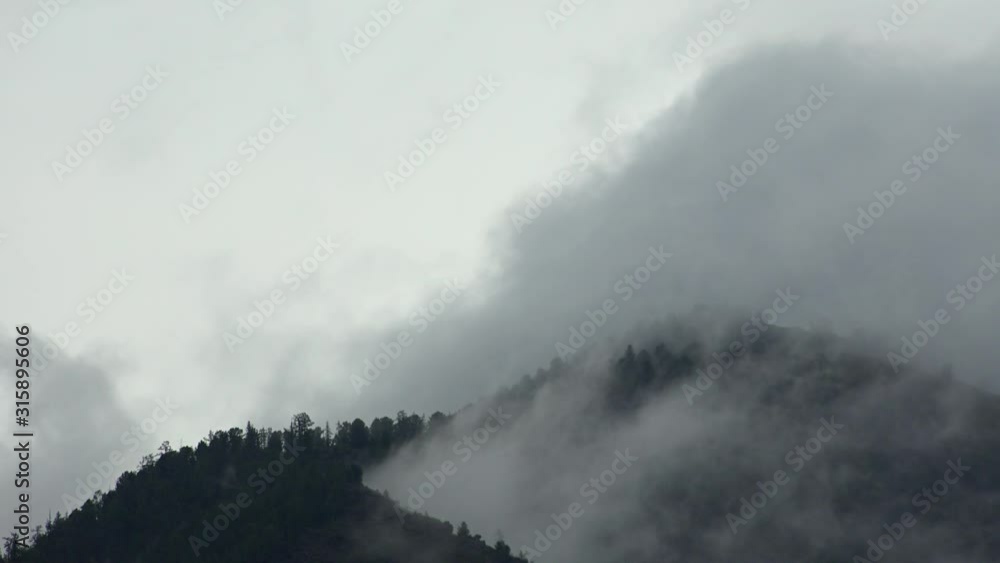 Video of morning mist oin the mountain forest. Fog is floating over the forested hills in Altai Video of morning mist oin the mountain forest. Fog is floating over the forested hills in Altai