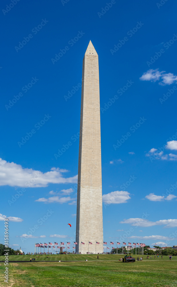 Washington, District of Columbia, United States of America - Washington monument park, obelisk on national mall, American flags and US capitol