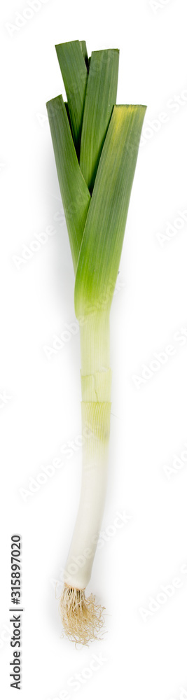 Single Leek Isolated Single Leek Isolated