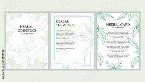 Herbal cosmetics card template. Modern illustration for design and web.