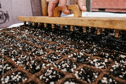 Stamping Soil For Seedlings