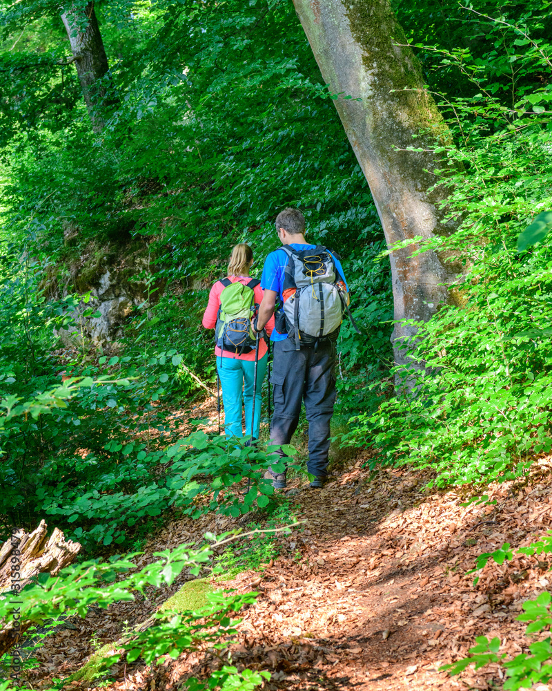 Wandern in frühlingshaften Wald Wandern in frühlingshaften Wald
