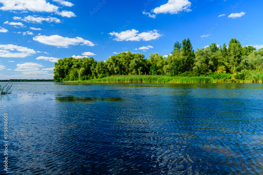 Summer landscape with the green trees and river Summer landscape with the green trees and river
