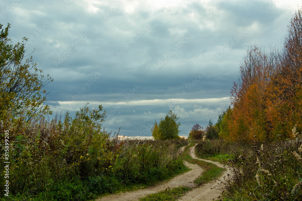 Autumn landscape. Russian nature. Dirt road in the field. Trees and bush.