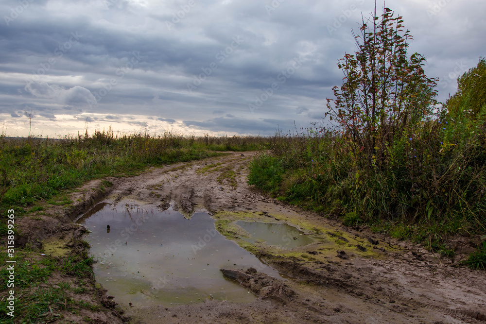 Autumn landscape. Russian nature. Puddle on the dirt road in the field. Trees and bush.