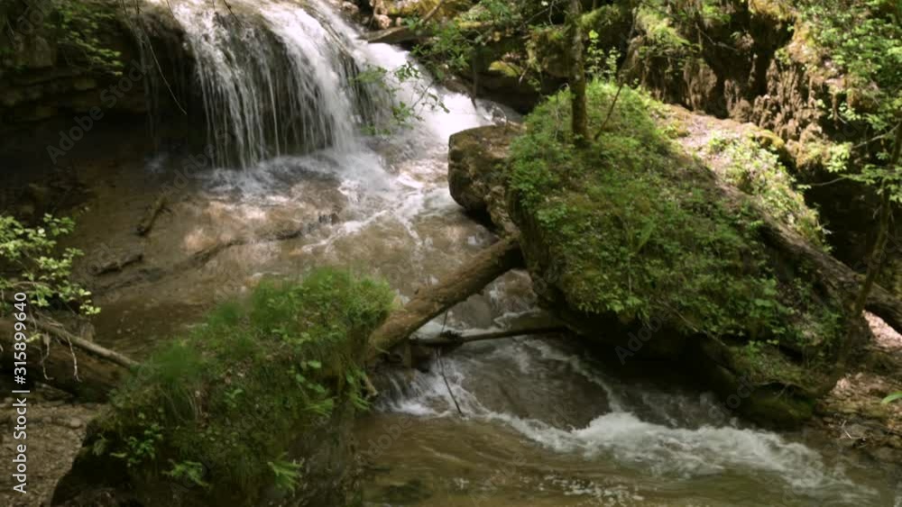 Mountain forest fast river with clear water flows down. Close-up, sunny day Mountain forest fast river with clear water flows down. Close-up, sunny day
