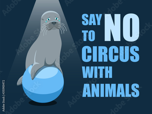 Say no to circus with animals. Poster against abuse animals in circuses. Banner with text and grey fur seal on the ball on blue background. Problem of exploitation of wild marine animals in circuses.