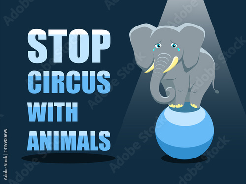 Stop circus with animals. Poster against abuse animals in circuses. Banner with text and grey elephant on the ball on blue background. Problem of exploitation of wild animals in circuses.