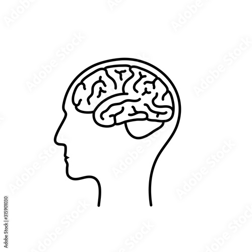 Vector isolated illustration of human brain 