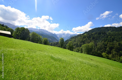 Alpen Wiese Berge