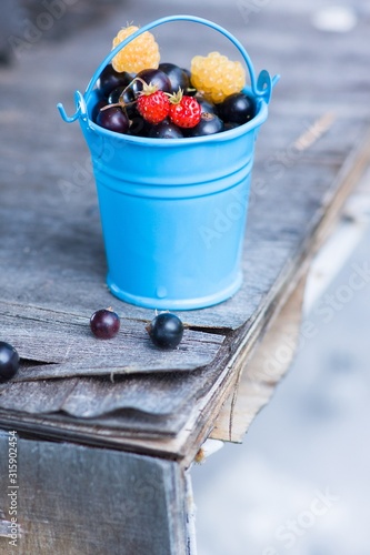 Red and yellow raspberries and blackcurrant in blue bucket