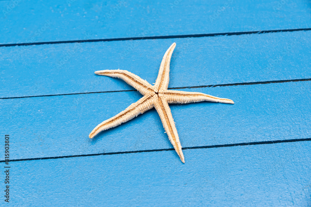 Summer background with starfish on blue background Summer background with starfish on blue background