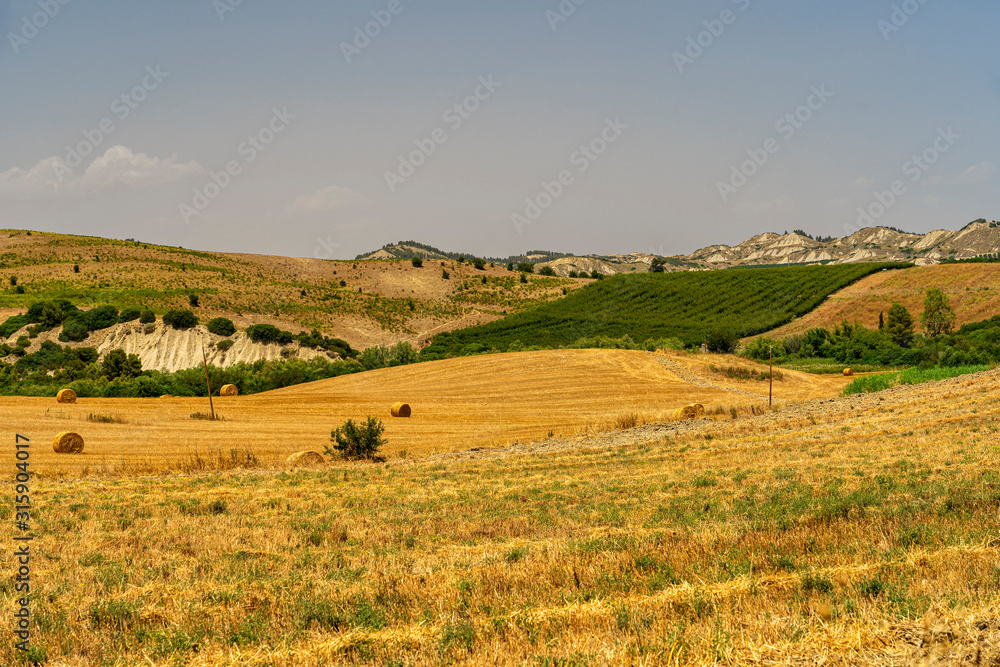 Fototapeta premium Rural landscape in Matera province at summer