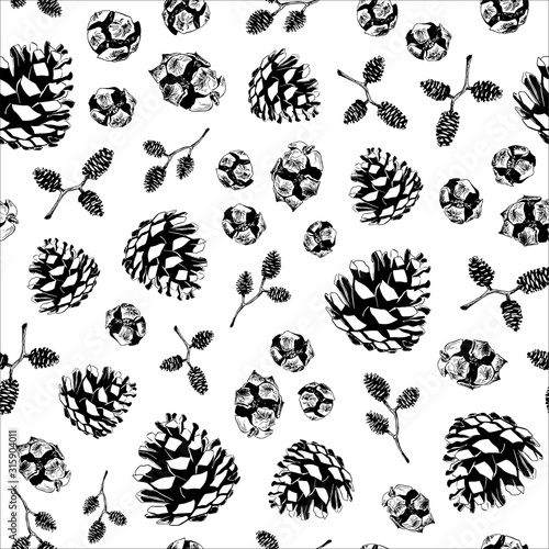 Seamless pattern with hand drawn vector illustration of pine  alder and cypress cones. Forest Autumn Winter collection