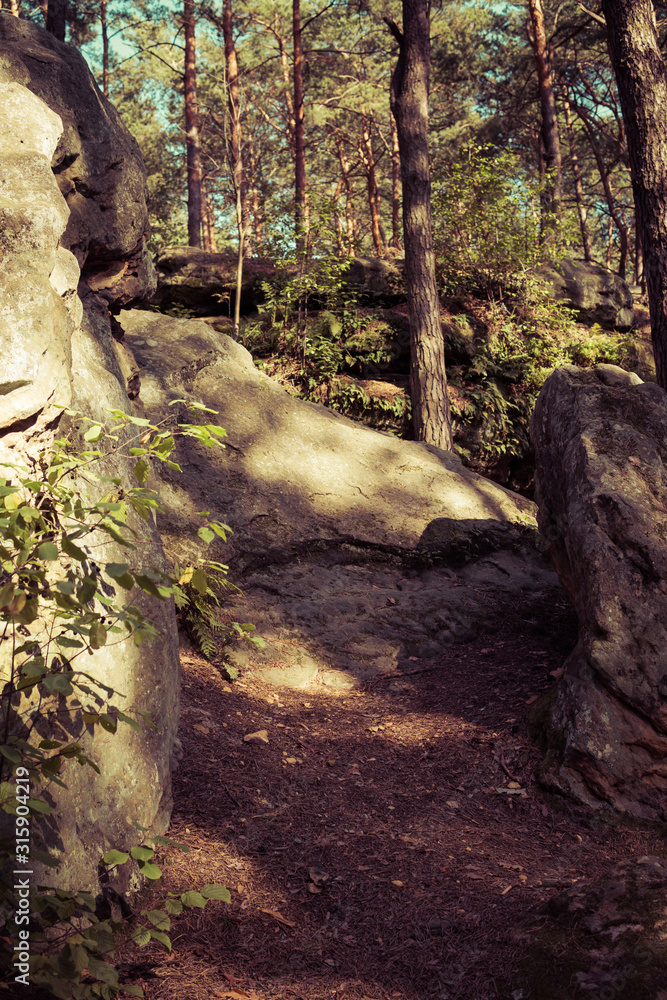 ground path between sandstone rocks ground path between sandstone rocks