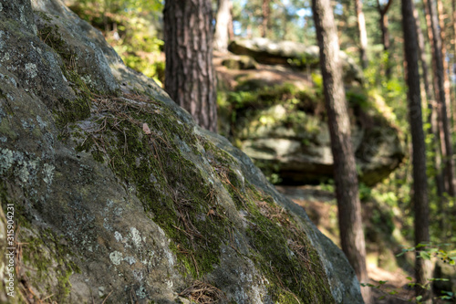 detail of large sandstone rocks