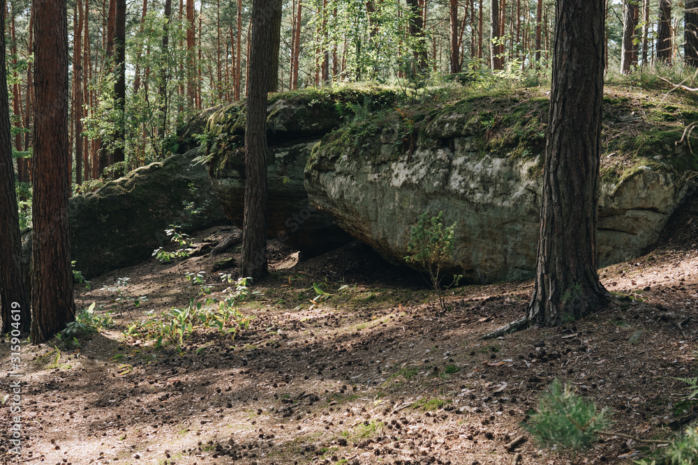 landscape with a large sandstones inside of a forest landscape with a large sandstones inside of a forest