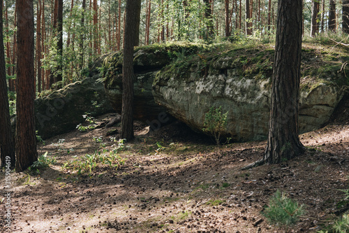 landscape with a large sandstones inside of a forest