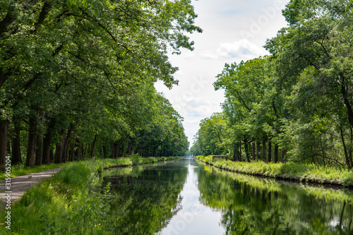 Waterways in Belgium, manmade canal with oak trees alley photo