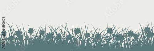 Grass silhouette on white. Spring and Summer background.