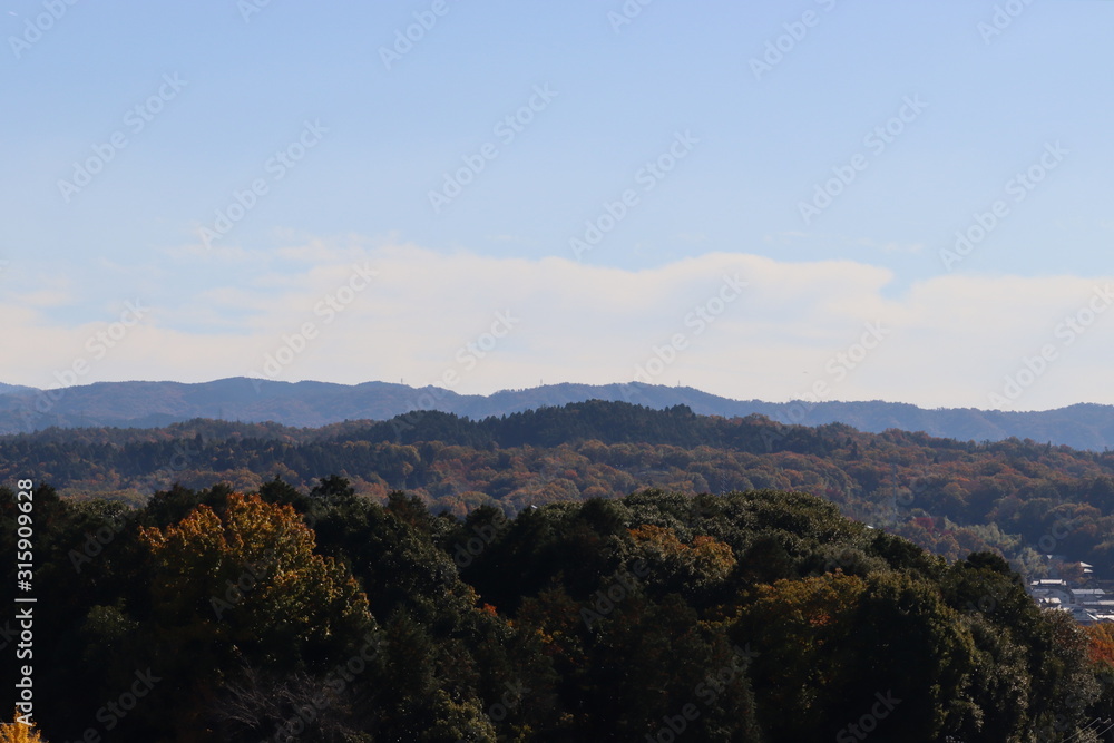 岐阜県 土岐市 街並み 岐阜県 土岐市 街並み