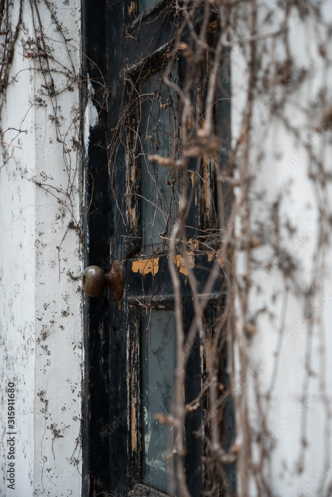 See the old door through the withered vines