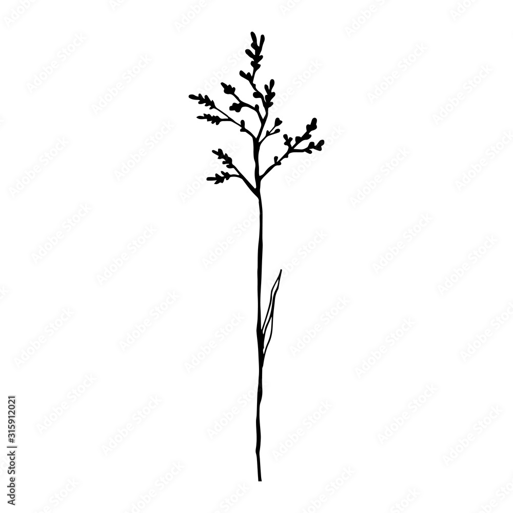 Obraz premium Beautiful monochrome black and white floral vector isolated on background. Hand-drawn flower. Design greeting card and invitation of holiday. Line art vector illustration.