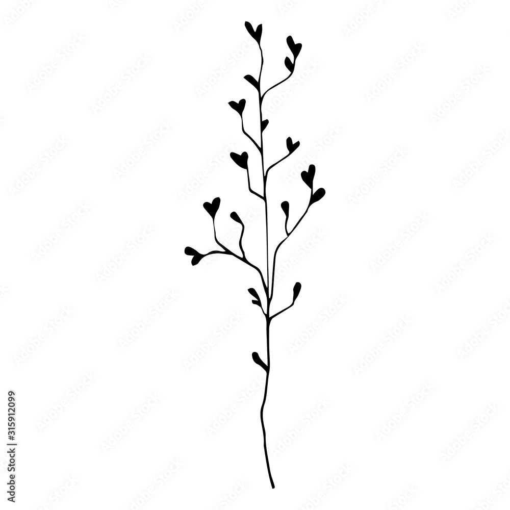 Beautiful monochrome black and white floral vector isolated on background. Hand-drawn flower. Design greeting card and invitation of holiday. Line art vector illustration.