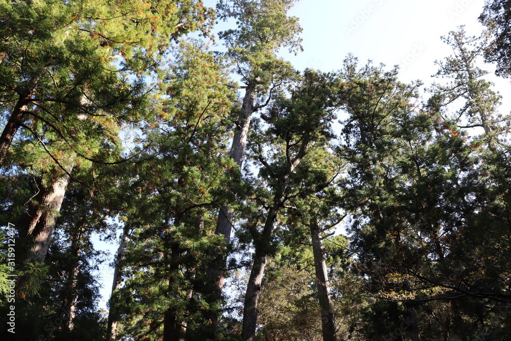 Fototapeta premium 三重県 伊勢 景色