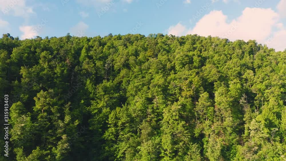 Blue lake water in summer drone shot with forest. Blue lake water in summer drone shot with forest.