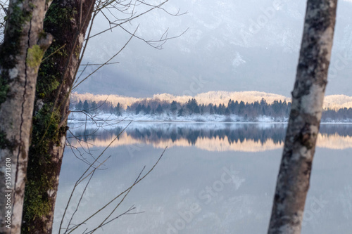Winter Mountain Lake Reflection Bohinj Slovenia