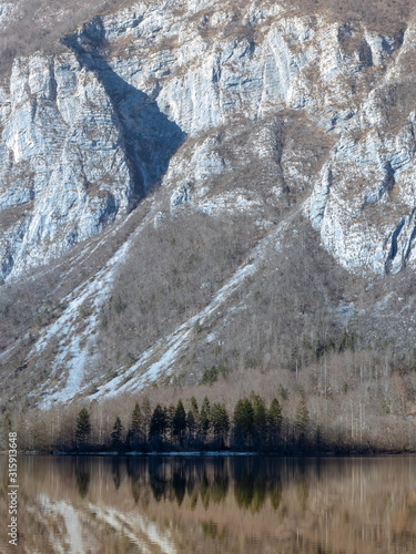 Winter Mountain Lake Reflection Bohinj Slovenia