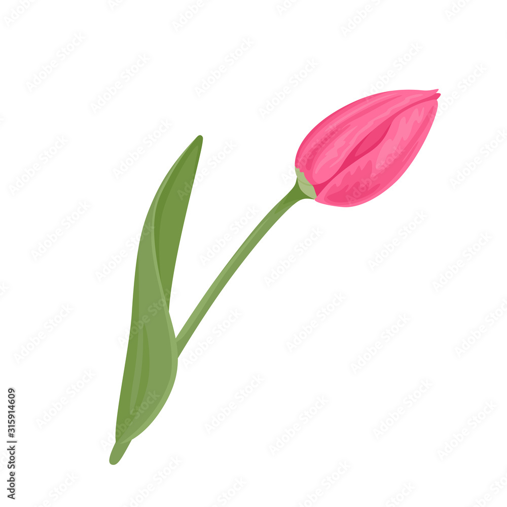 Pink tulip with green stem and leaf Isolated on white background. Vector illustration in cartoon flat style. Spring flower icon. Pink tulip with green stem and leaf Isolated on white background. Vector illustration in cartoon flat style. Spring flower icon.