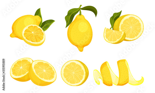 Lemon Fruit Whole and Cut into Halves Vector Set