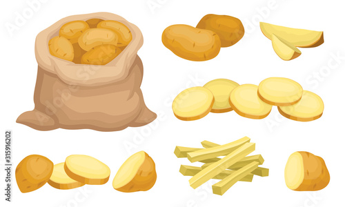 Raw Whole and Sliced Potatoes Close up Isolated on White Background Vector Set.