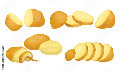 Raw Whole and Sliced Potatoes Close up Isolated on White Background Vector Set.