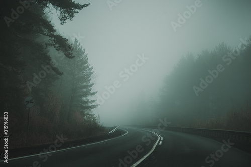 cold thick fog over the road in the twilight forest